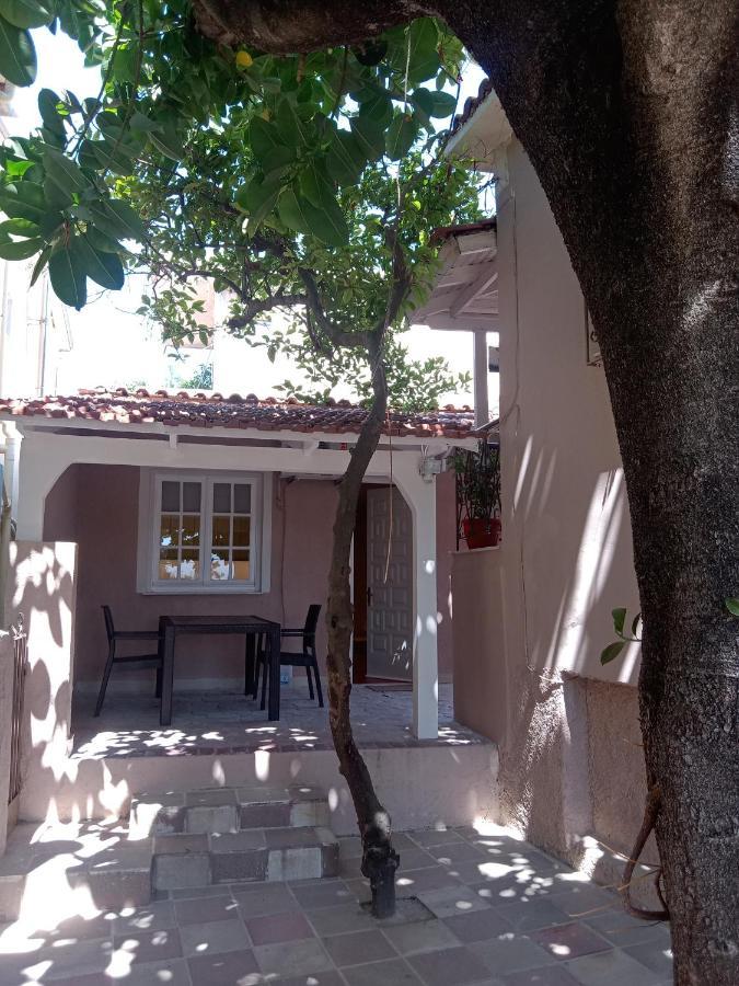 Appartement Menegis *